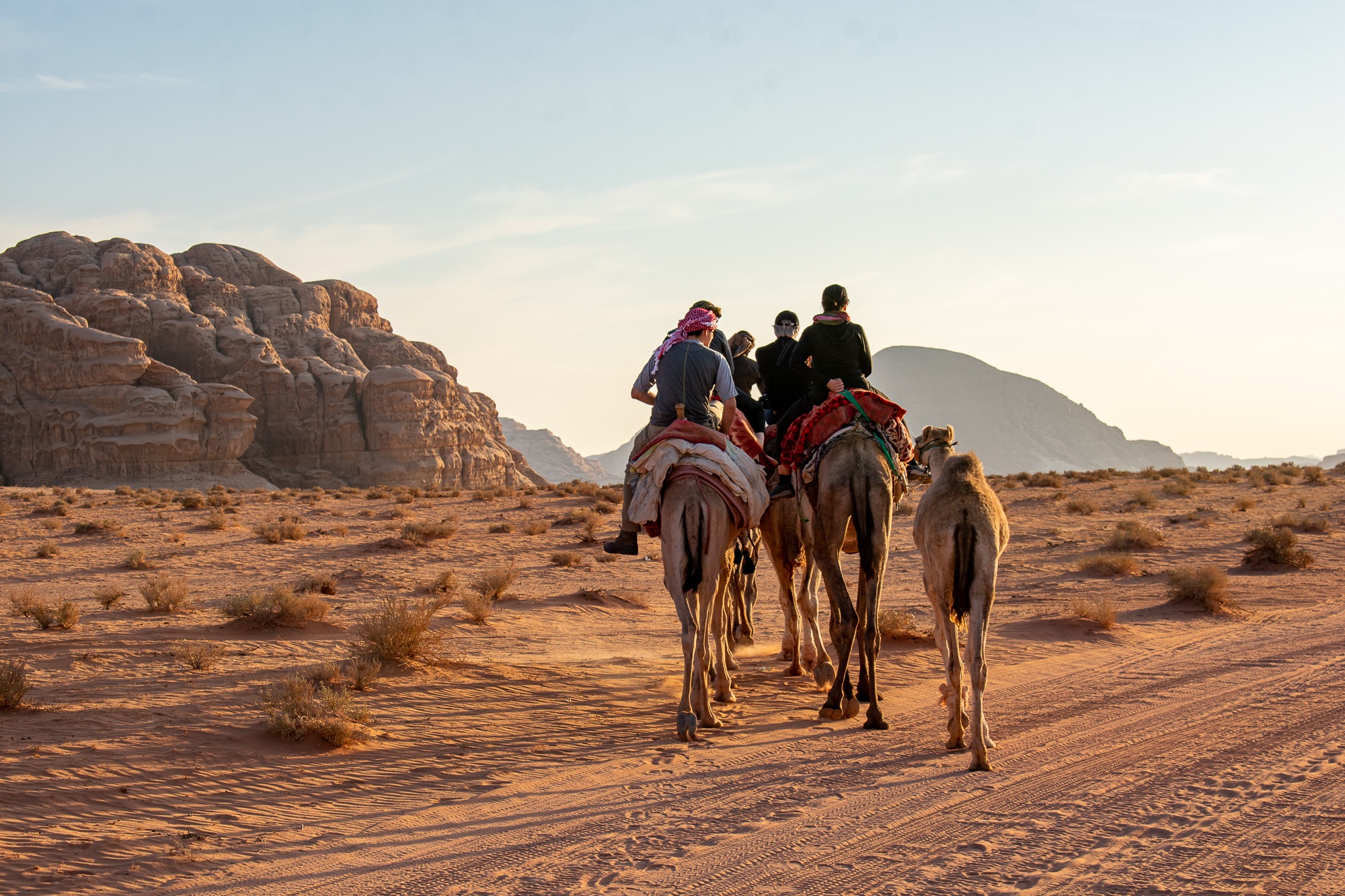 bedouin tours and dates